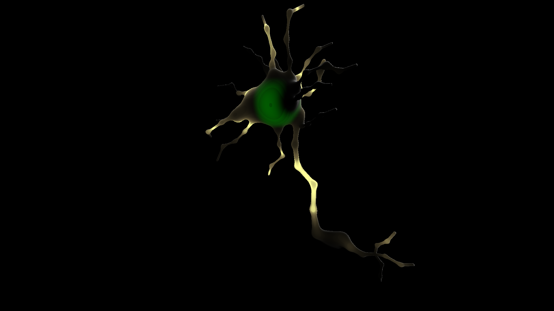 images/neuron.png